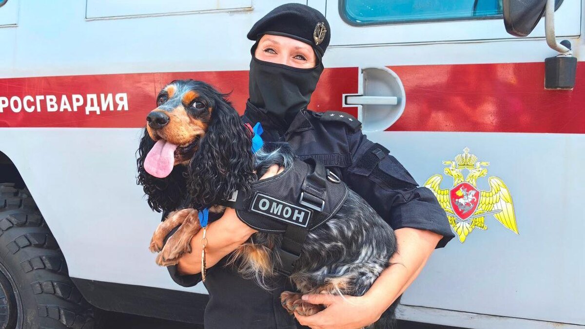    Фото: t.me/rosgvard78