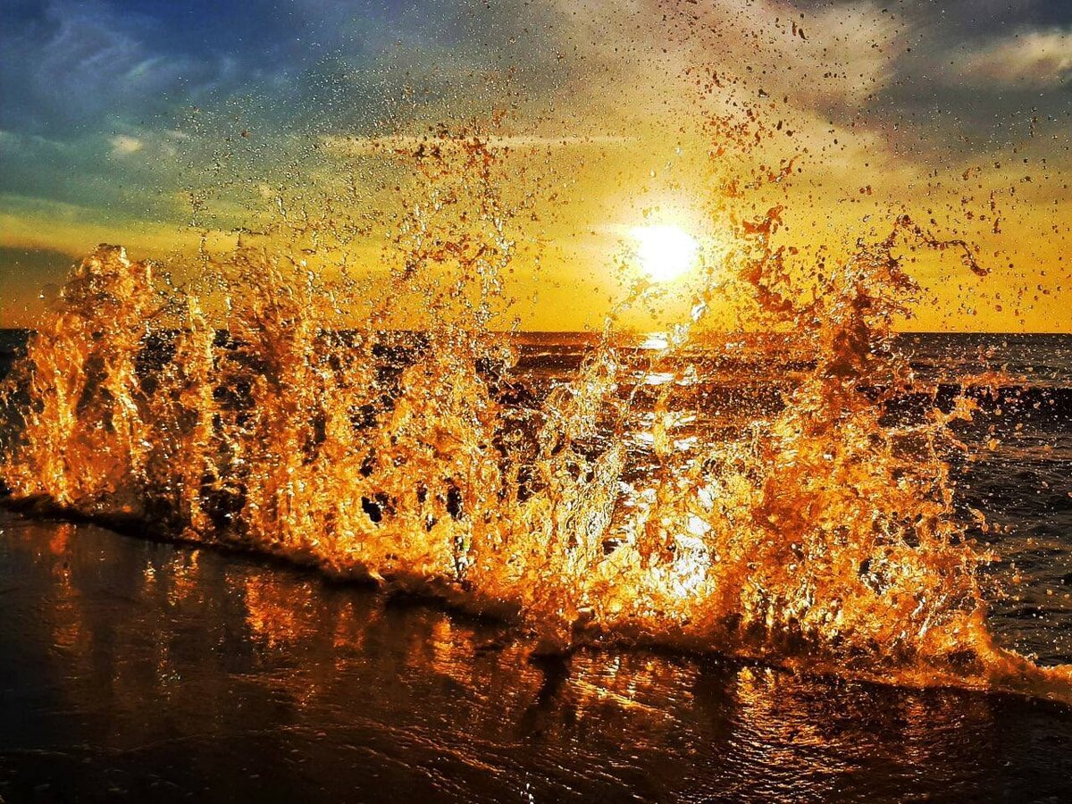    Фото: тг-канал «Сириус Сегодня»