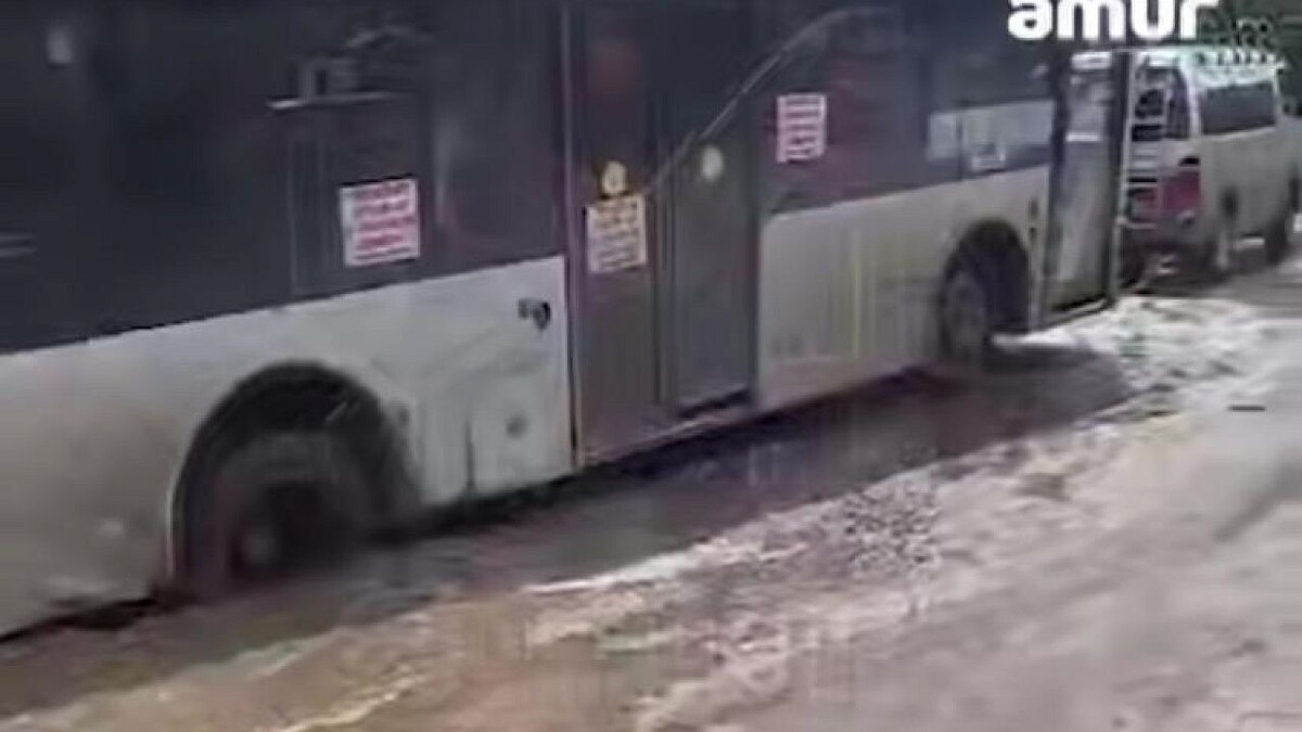    Фото: t.me/amur_mash