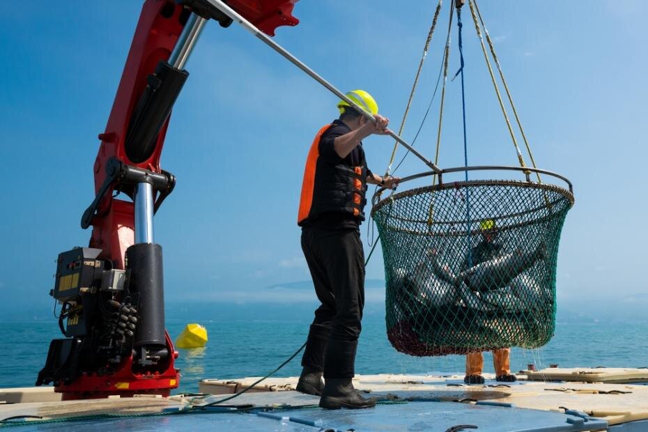    Shutterstock/FOTODOM