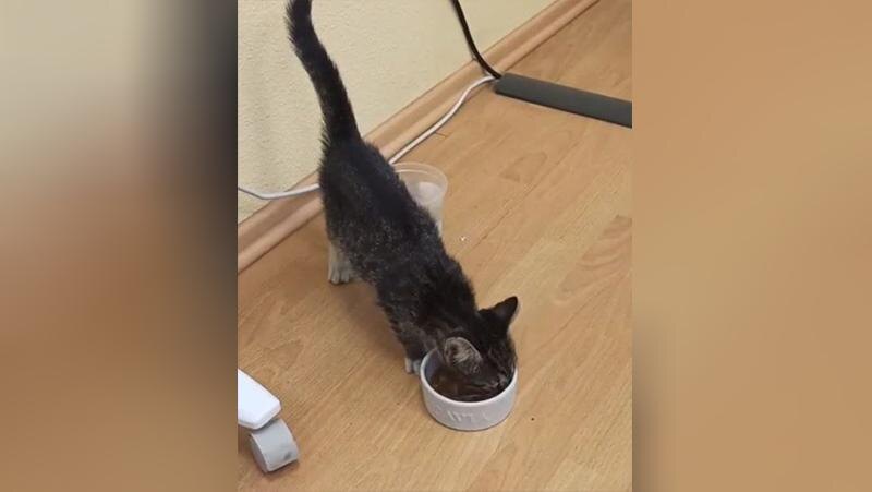    Фото: t.me/SpetsTrans1