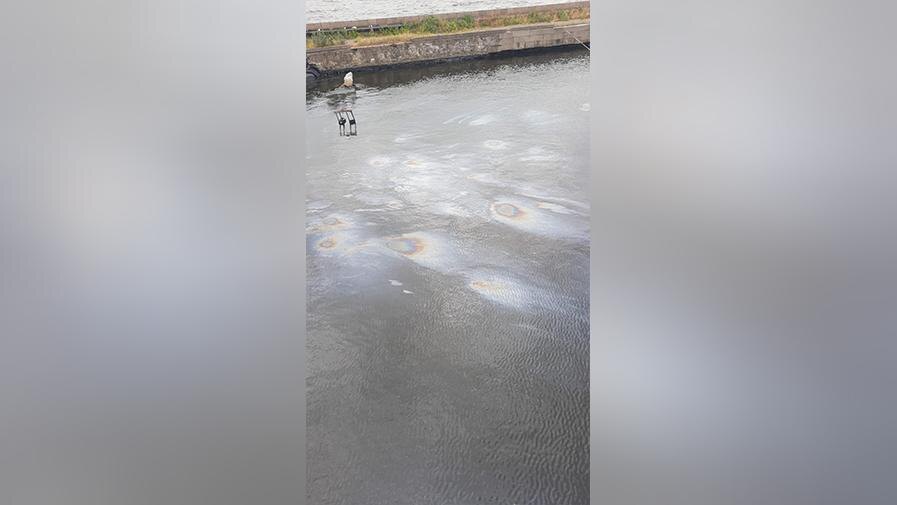    Фото: УТ МВД России по СЗФО