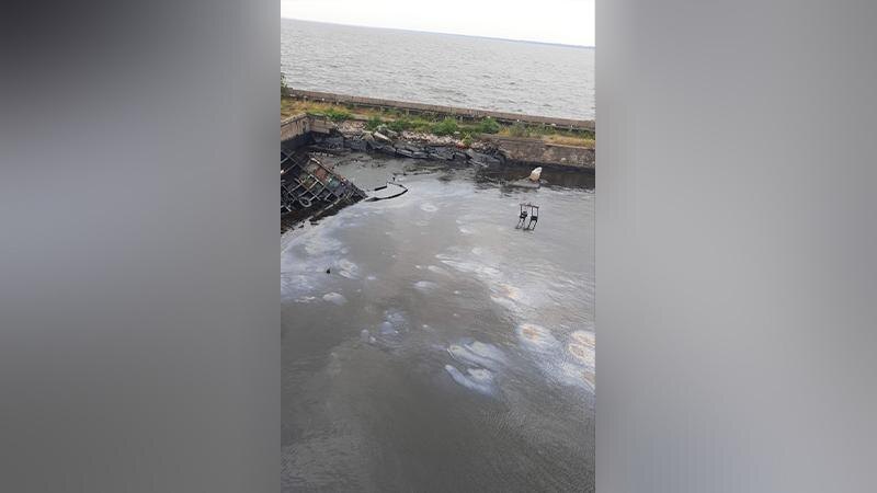    Фото: УТ МВД России по СЗФО