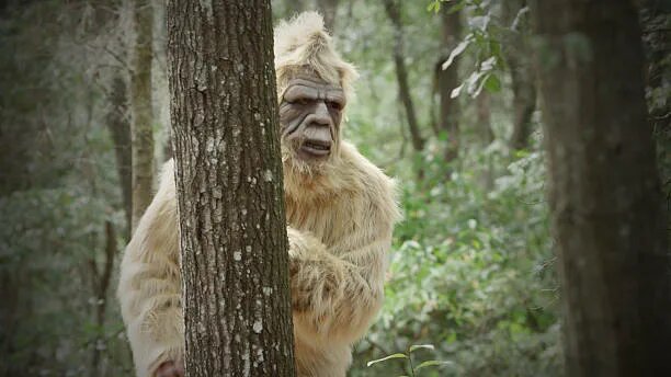 Снежный человек.