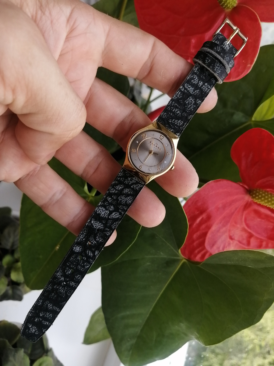 Фотографии автора 