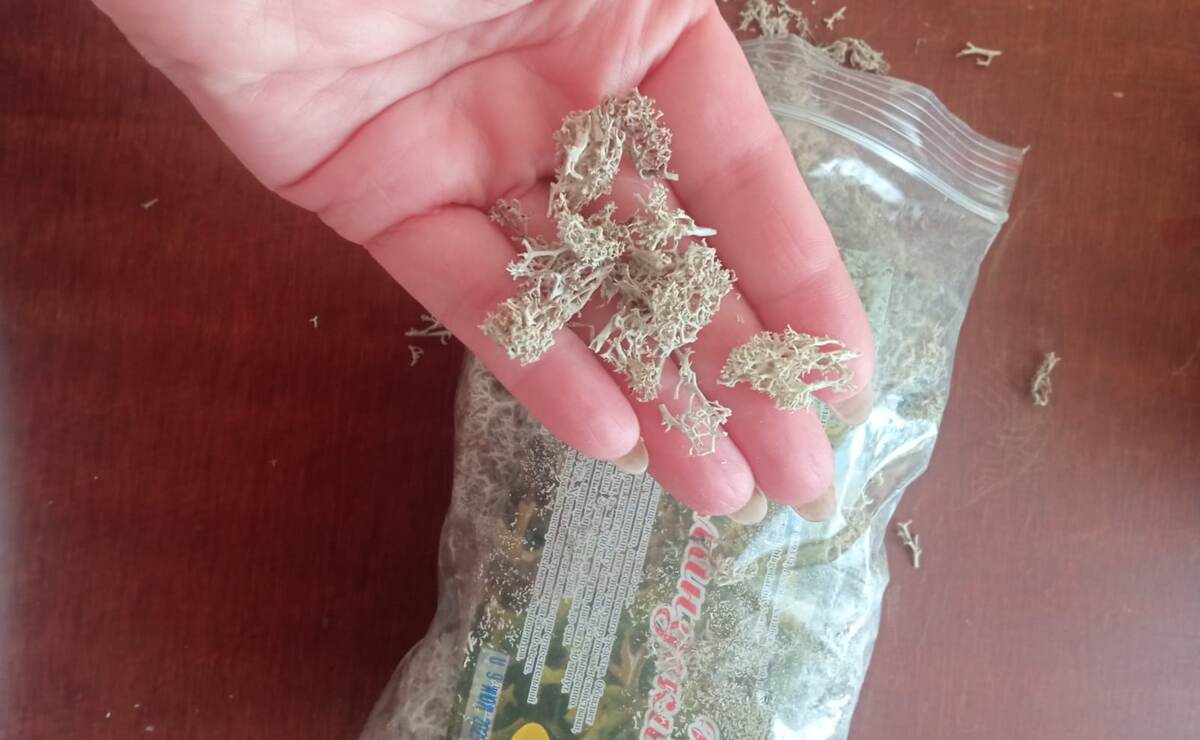 вот такой мох и лечебный и дляя декора находка.