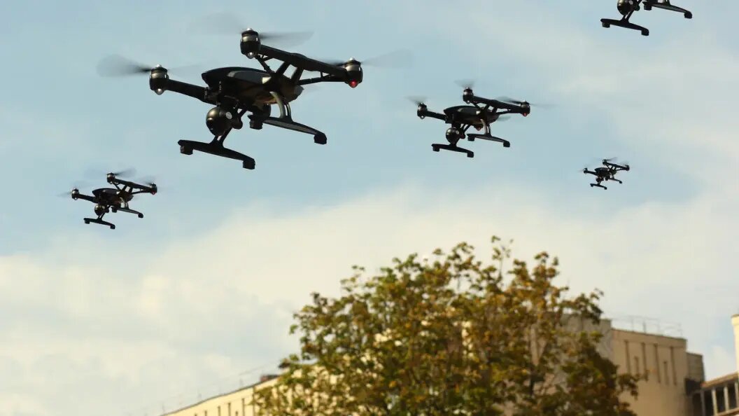    Фото: Sergey/shutterstock.com