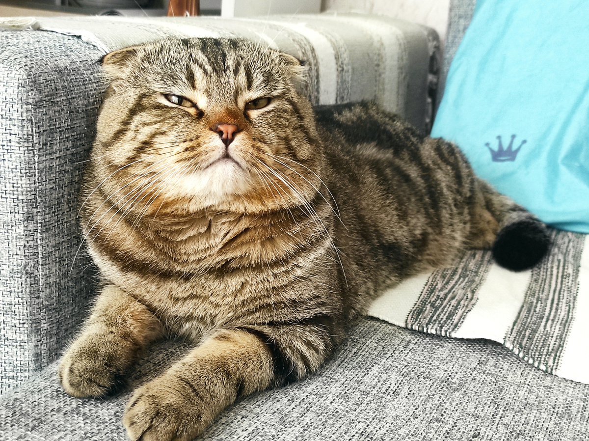 Вооооот как я устал! Видите? Кому не видно?