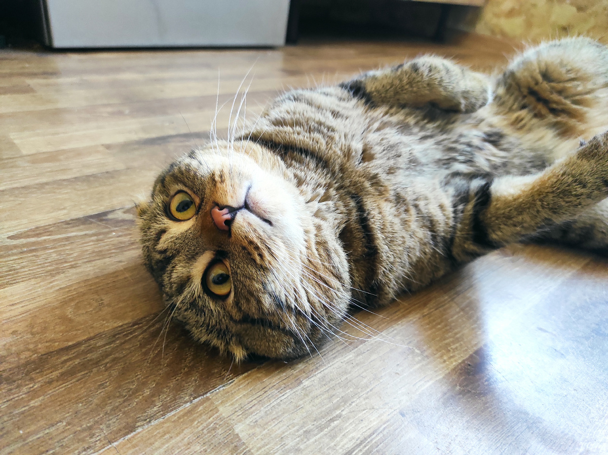 Ах, оставьте!