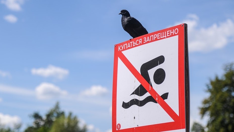    Автор фото: Арина Антонова/ТАСС