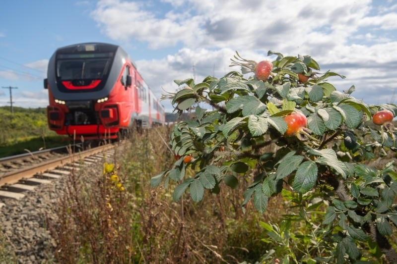    Фото ТГ-канала РЖД Татьяна Пшеничная