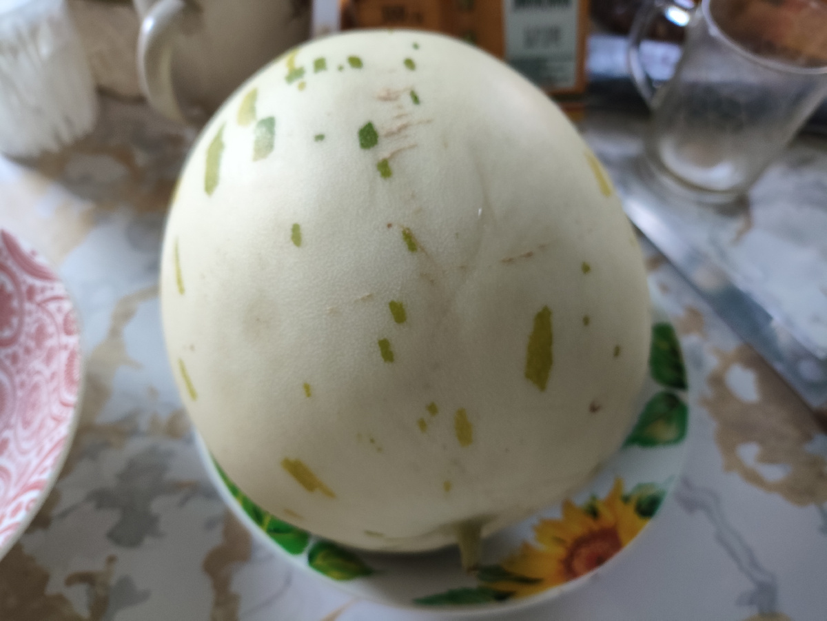 Вот такие дыньки долматинками кличут