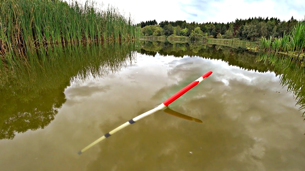 Почему карась не клюет на рассвете