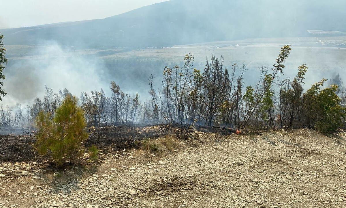    Фото t.me/proc_23