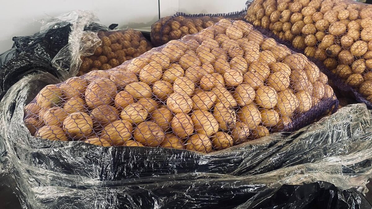    Фото: Екатерина Шамина / Горсайт