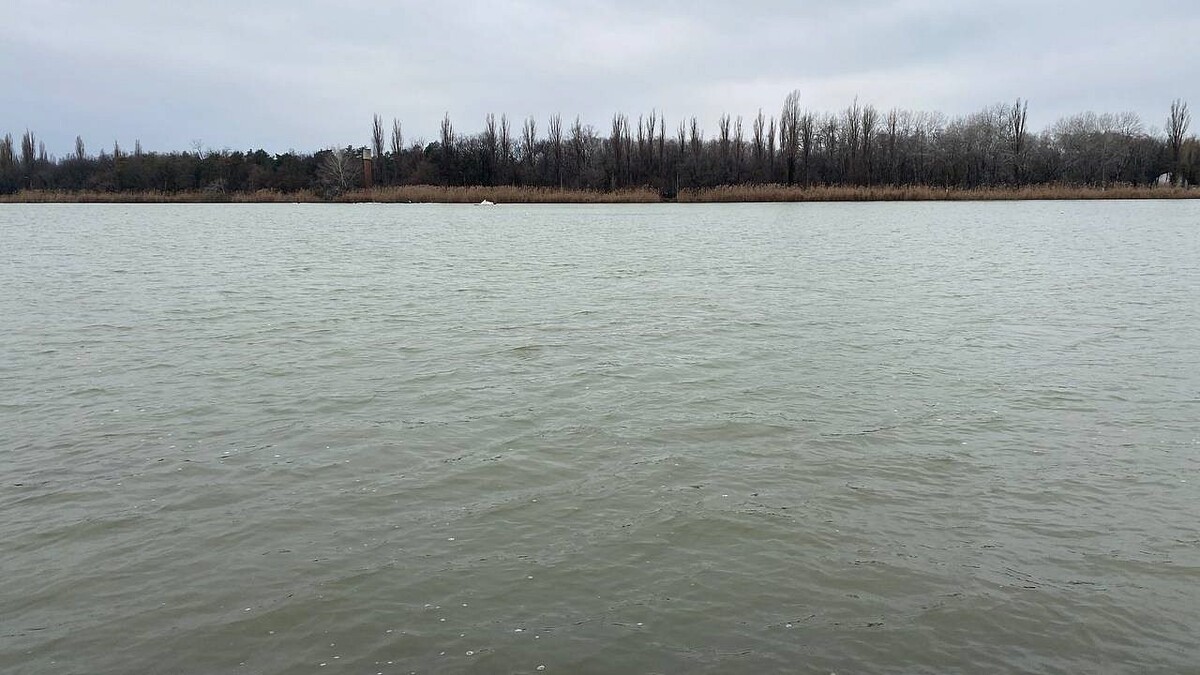    Фото: телеканал «Краснодар»