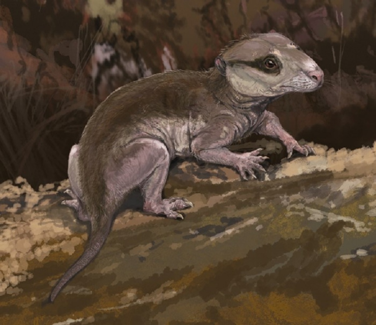 Бразилодон в естественной среде. Арт.