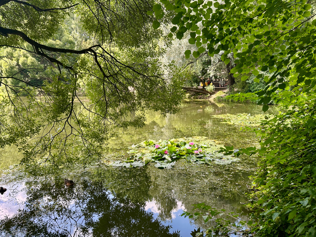 Нарышкинский пруд. Фото автора 