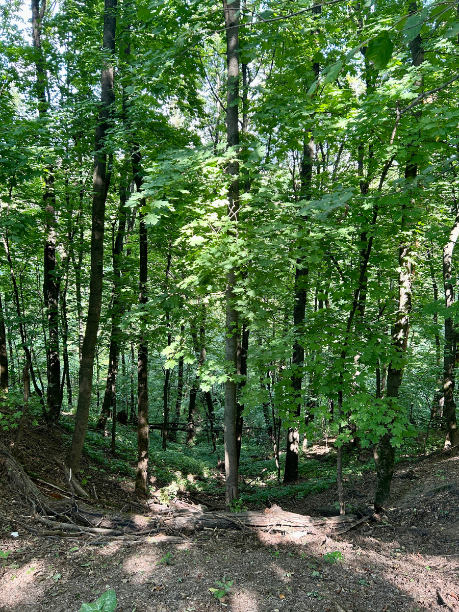 На высоком берегу на крутом. Фото автора 