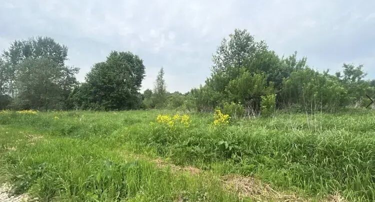    Единый портал торгов МО ЕАСУЗ