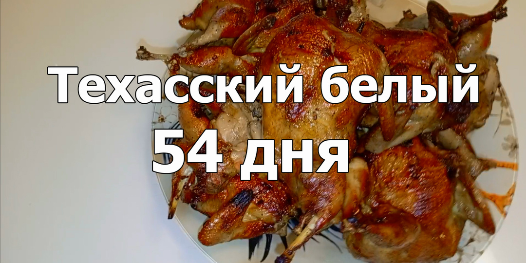 Всем привет