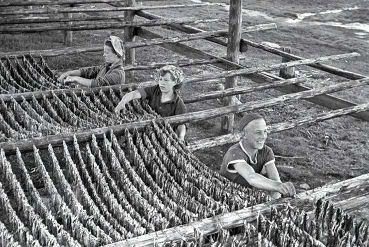 Фото из открытых источников