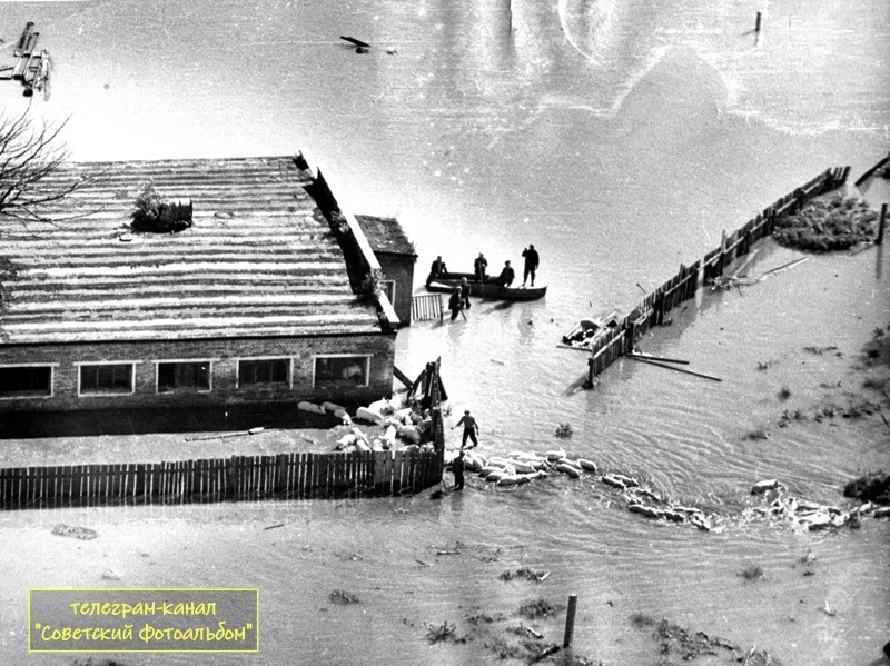 Фото из открытых источников