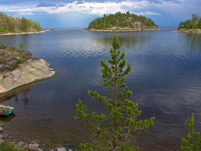    Фото: depositphotos/Pashtett