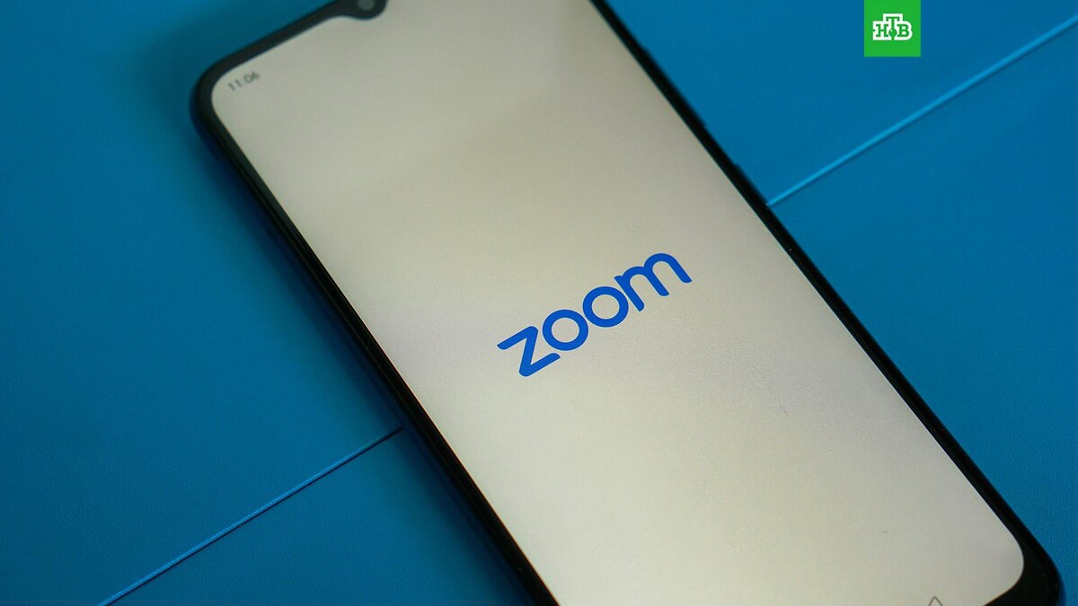    Фото: Mourizal Zativa / unsplash.com