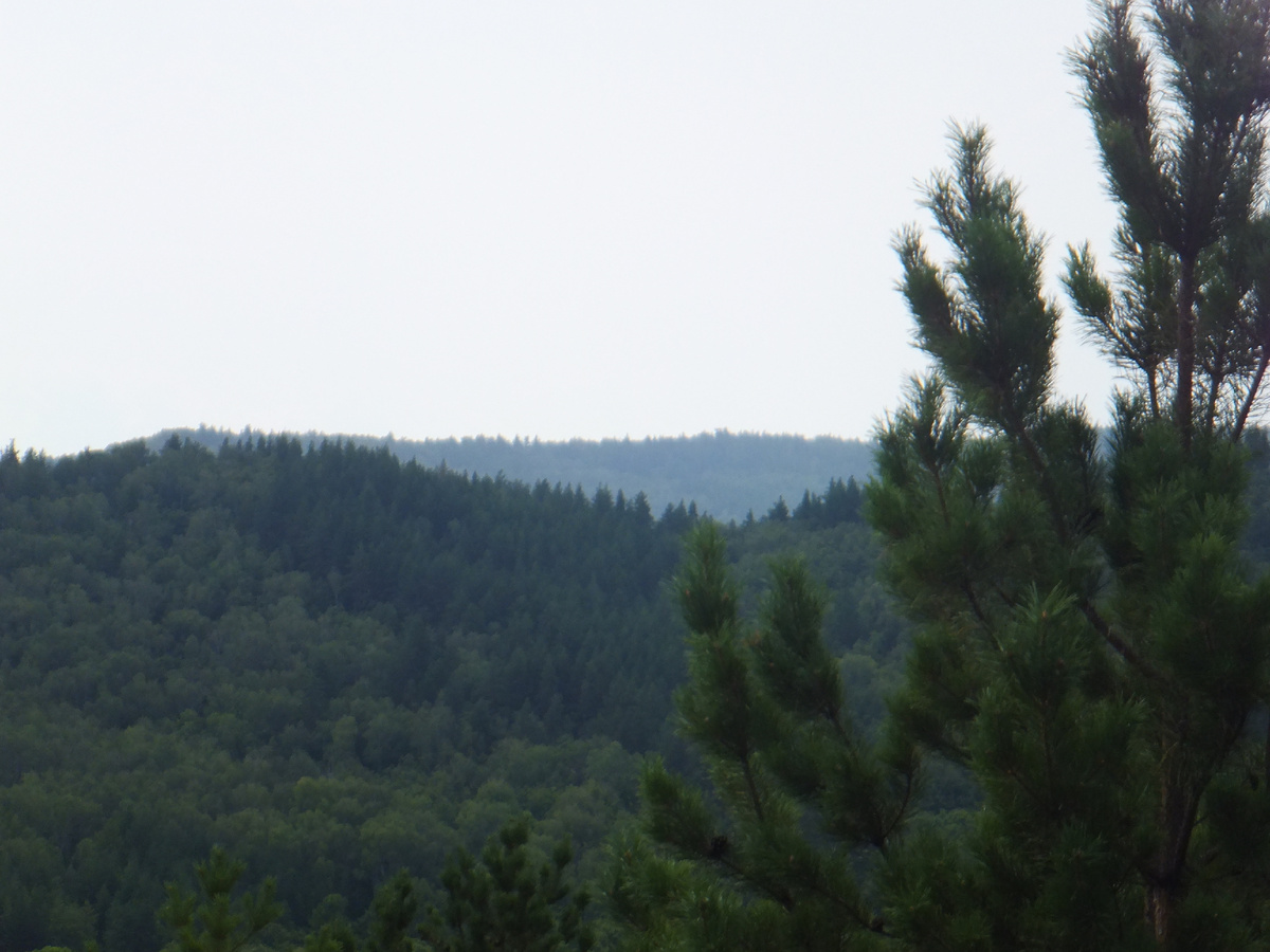 фото автора панорамный вид