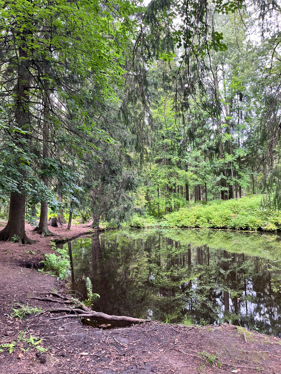 Июль 2025 Шуваловский парк