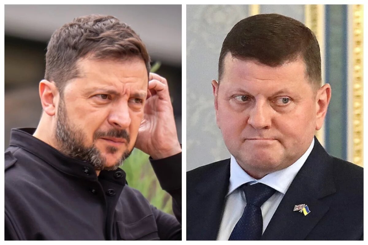    Вместо украинского диктатора Зеленского президентом на Западе хотят сделать Залужного.