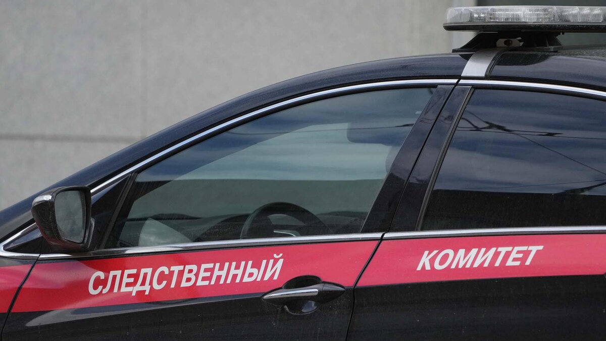    Фото: ИЗВЕСТИЯ/Дмитрий Коротаев