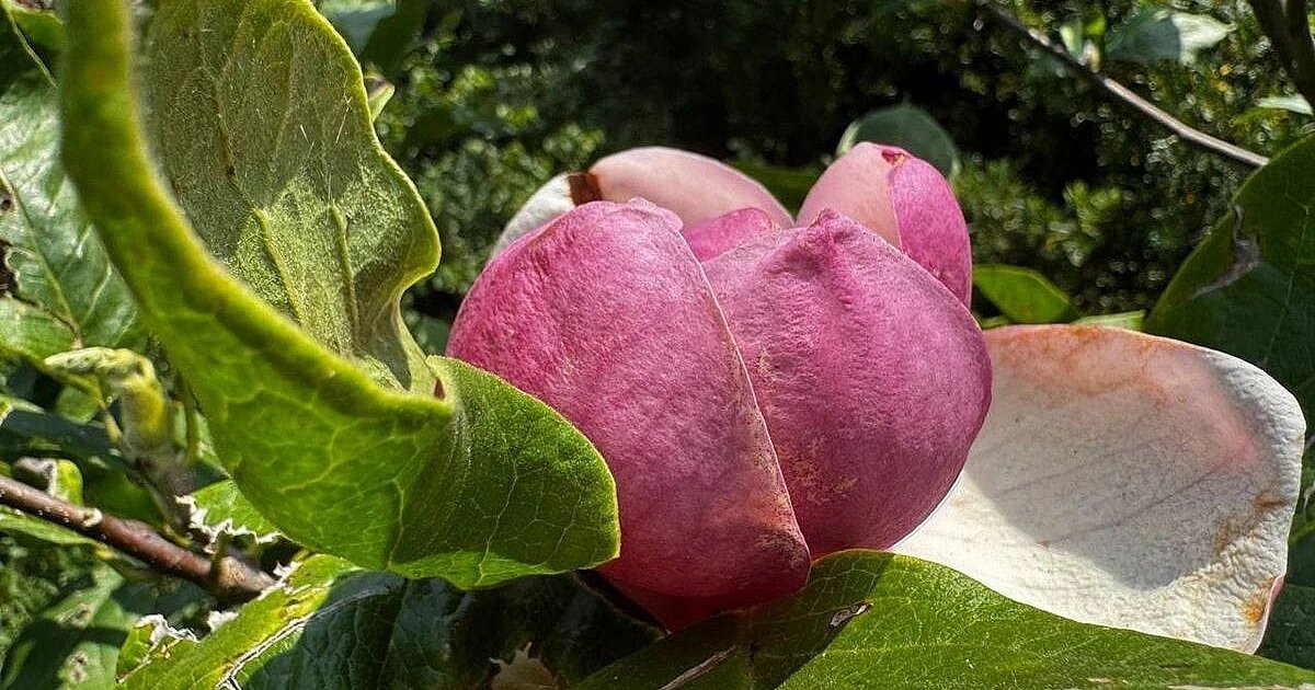 Фото: пресс-служба Кавказского заповедника
