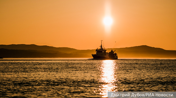     Фото: Дмитрий Дубов/РИА Новости   
 Текст: Евгения Караваева