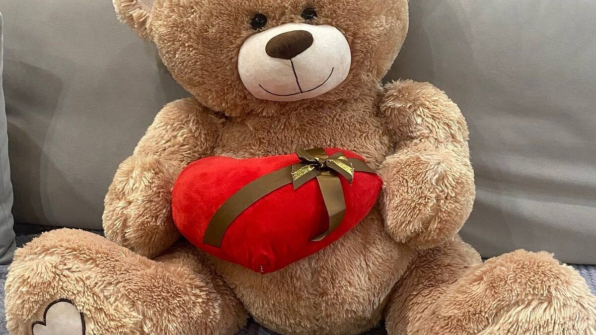    Фото: телеканал «Краснодар»