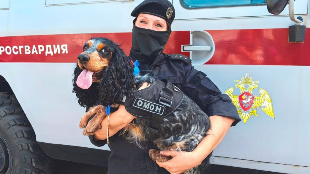    Фото: пресс-служба ГУ Росгвардии по Петербургу и Ленинградской области