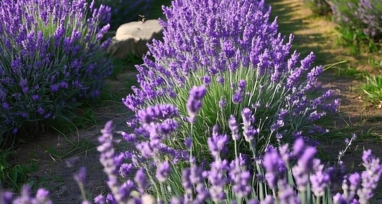    Фото: Медведева Анна, AgroXXI.ru