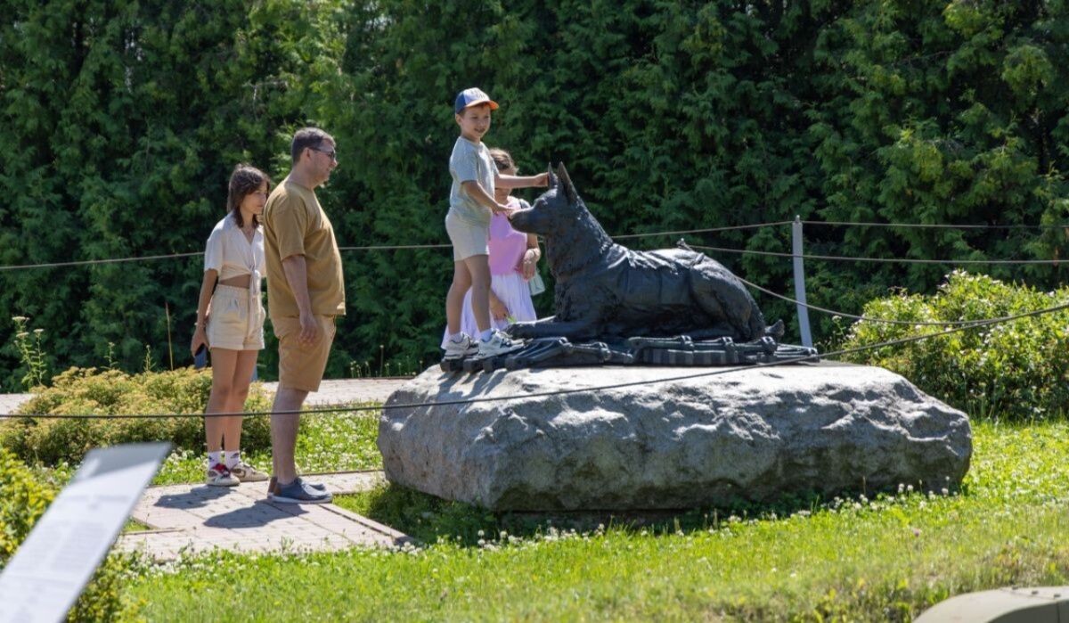     Памятник фронтовой собаке. Источник: victorymuseum.ru Автор фото: Пресс-служба Музея Победы