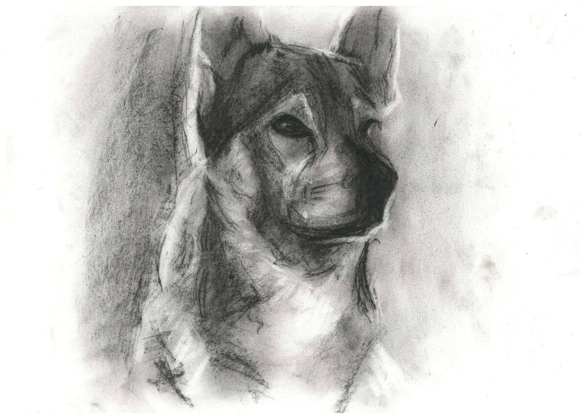    В Музее «Г.О.Р.А.» открывается выставка, посвящённая подвигу служебных собак