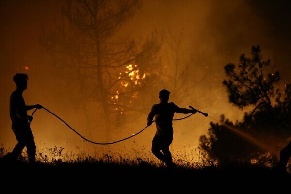 © Getty Images / Saliha Nur Koksal/Anadolu via Getty Images Жители, проживающие вблизи пострадавших от лесных пожаров районов пытаются потушить огонь лесный пожаров между районами Гурсу и Кестель (26 июля 2025). Турция