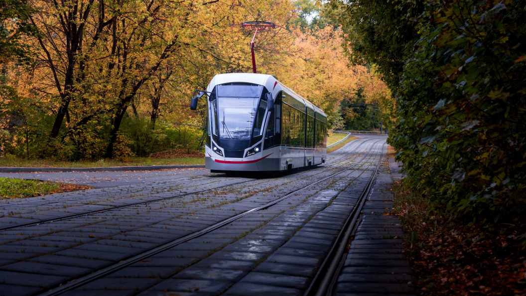    Фото: Igor Zuikov/shutterstock.com