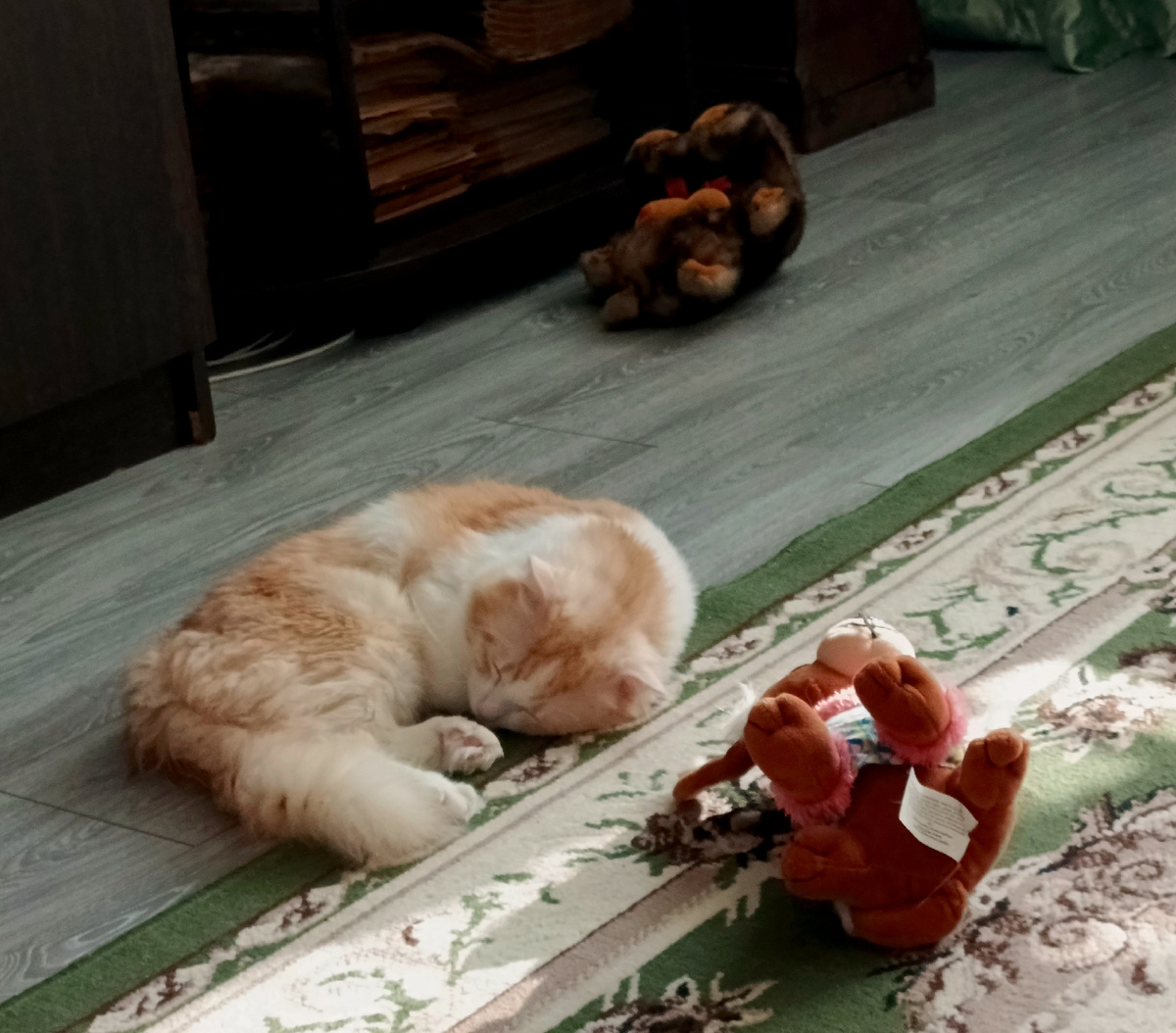 В лучах утреннего солнца