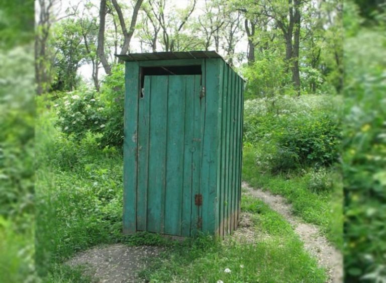 Фото из Яндекс-картинок