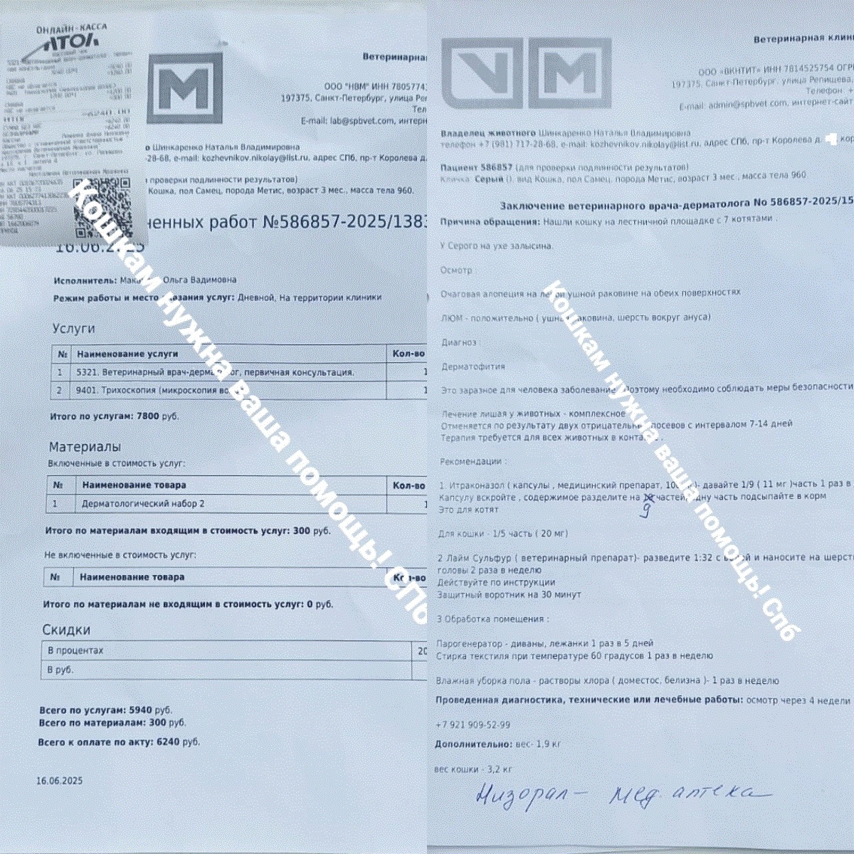Чек/акт от 16.06.2025 на сумму 6240 руб. за консультацию врача дерматолога/трихоскопию серому котёнку Дымочку в клинике Сотникова.
Заключение врача к Чеку/акту от 16.06.2025 на сумму 6240 руб. за консультацию врача дерматолога/трихоскопию серому котёнку Дымочку в клинике Сотникова.