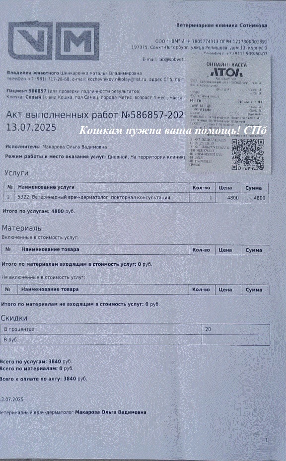 Чек/акт от 13.07.2025 на сумму 3840 руб. за повторную консультацию врача дерматолога серому котёнку Дымочку в клинике Сотникова.
