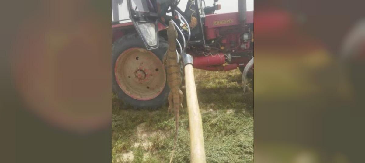    Фото: социальные сети