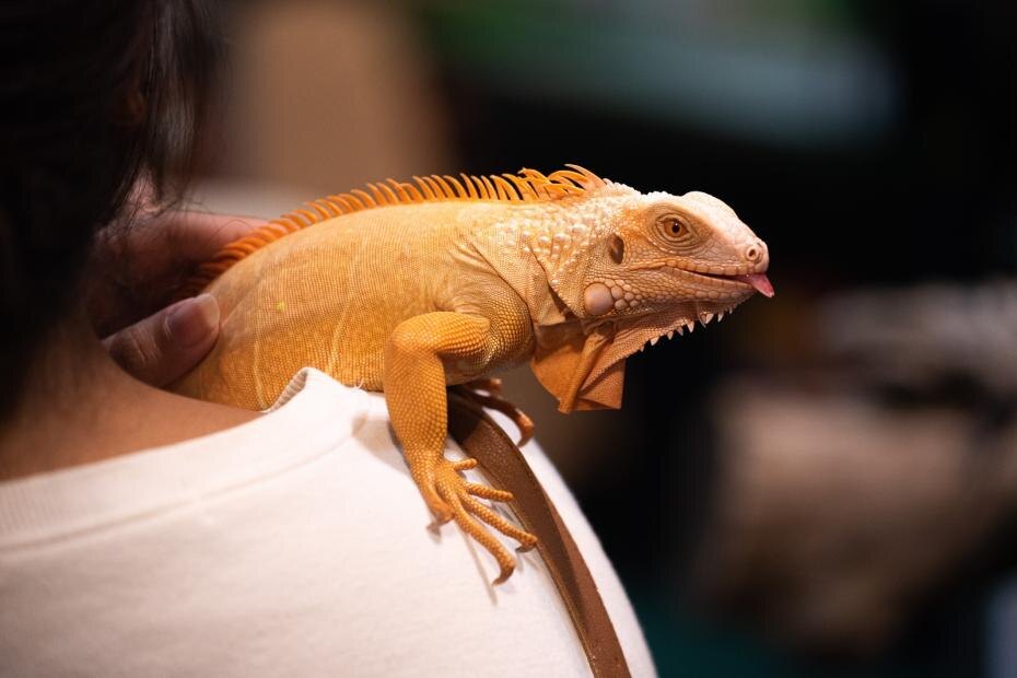    Peerapon Boonyakiat/Keystone Press Agency/Global Look Press