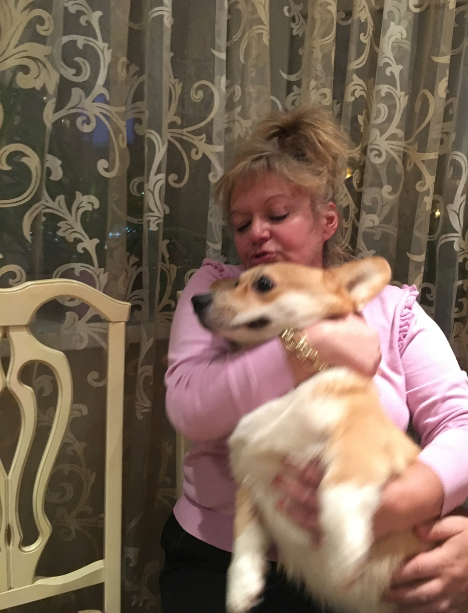 Корги Бильбо с третей Леной. Январь 2020