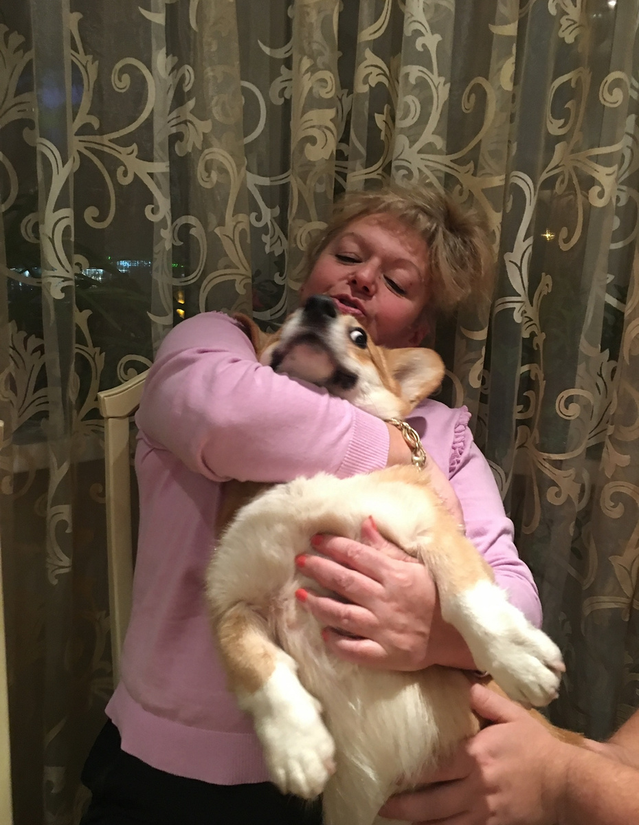 Обнять Бильбо